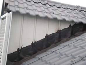 阜陽(yáng)森顥建材 專業(yè)供應(yīng)優(yōu)質(zhì)樹脂瓦，打造耐用建筑材料